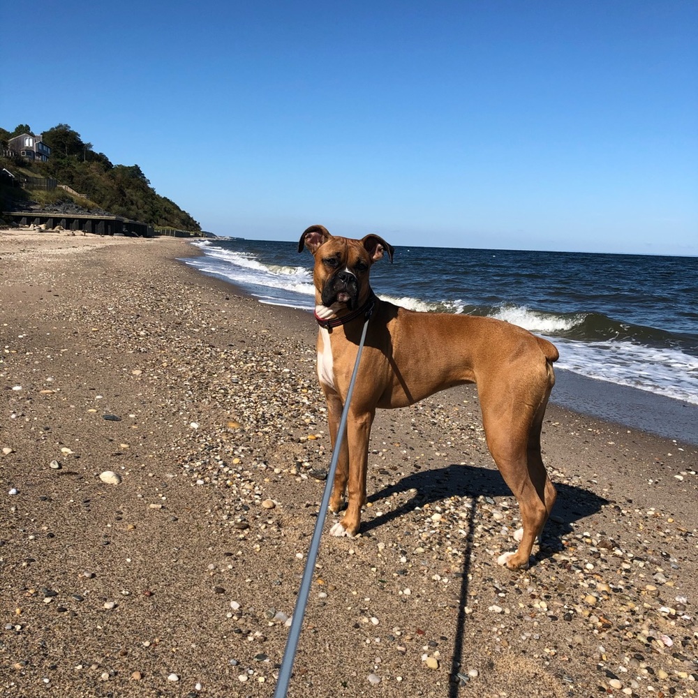 Meet your Posher, Patrick